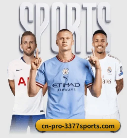 我们在做什么 | 3377Sports