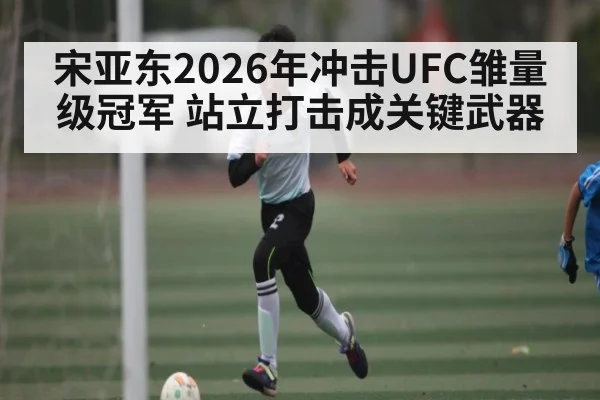 宋亚东2026年冲击UFC雏量级冠军 站立打击成关键武器